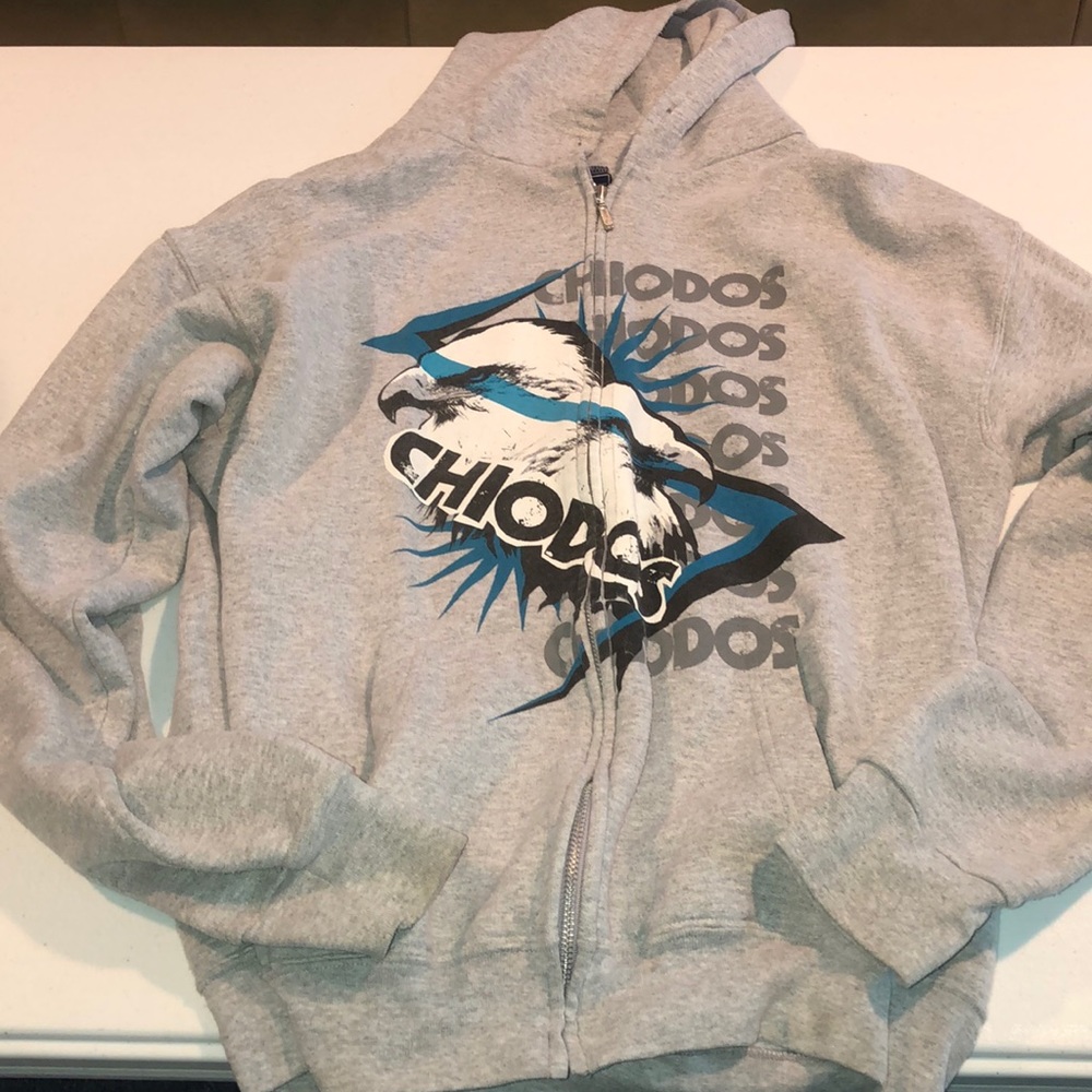 Vintage Chiodos hoodie